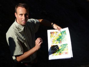 Mit Naturverjüngung dem Klimawandel trotzen