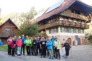 2019-10-9-BI-Klaus Pfaff-SWV-Durbacher Wandervielfalt-DSCN2272