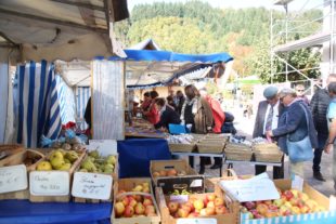 2019-10-9-OH-kal-Gallenkilwi-zvkMG8A0609