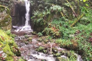 2019-10-9-UH-WuF-Reinhard Heizmann- Tagesetappen zum Feldbergpass-IMG_20190926_103425x
