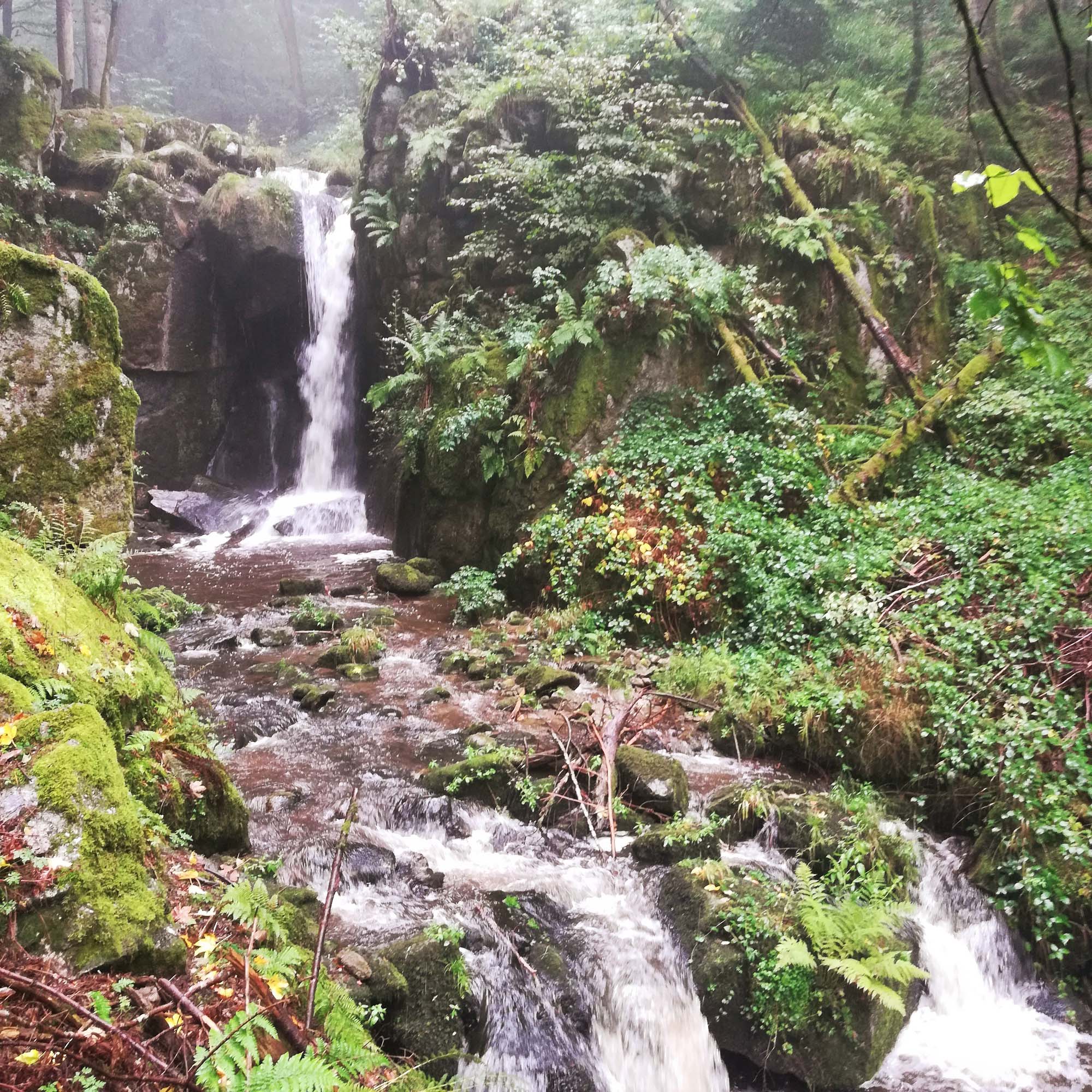 2019-10-9-UH-WuF-Reinhard Heizmann- Tagesetappen zum Feldbergpass-IMG_20190926_103425x