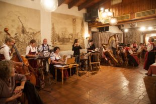 2019-11-11-OH-kal-Stubenmusik zvkIMG_1064b