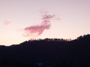 Zeller Weihnachtshirsch