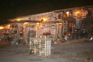 2019-11-6-NO-Michaela Neuberger-Nachbericht Laternenwanderung-IMG_9055