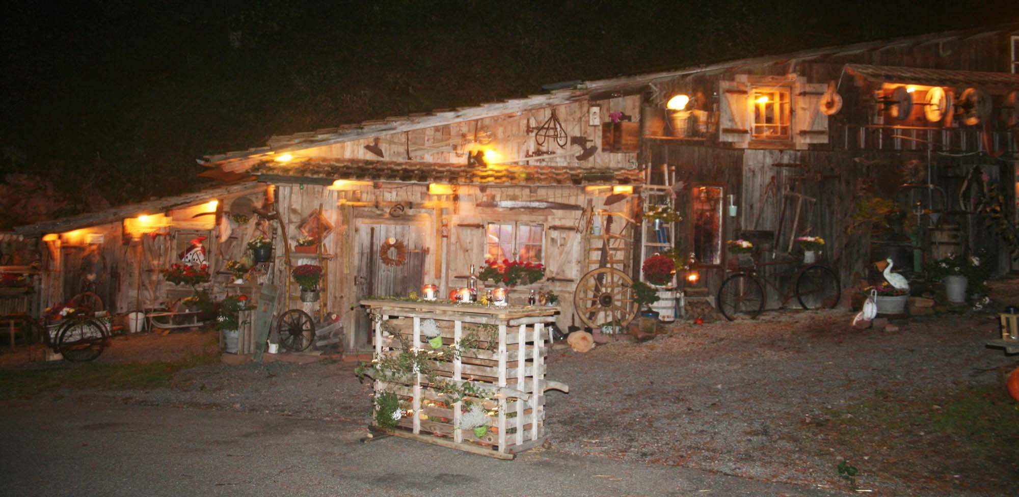 2019-11-6-NO-Michaela Neuberger-Nachbericht Laternenwanderung-IMG_9055