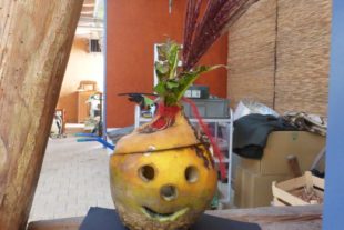 2019-11-6-ZE-Heike Kössler-Rübengeister AWO- P1050311