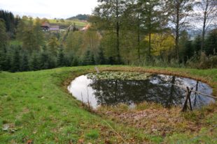 Löschwasserkonzept für Oberentersbach ist ausgearbeitet