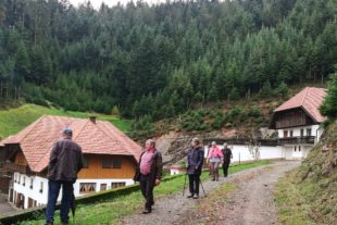 2019-11-8-ZE-UH-WuF-Bettelfrau_Laßgrund-IMG_20191103_124311