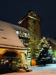 Neue Impulse fürs Tannenbaumstädtle