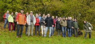 Buchenwald leuchtete in allen Farben
