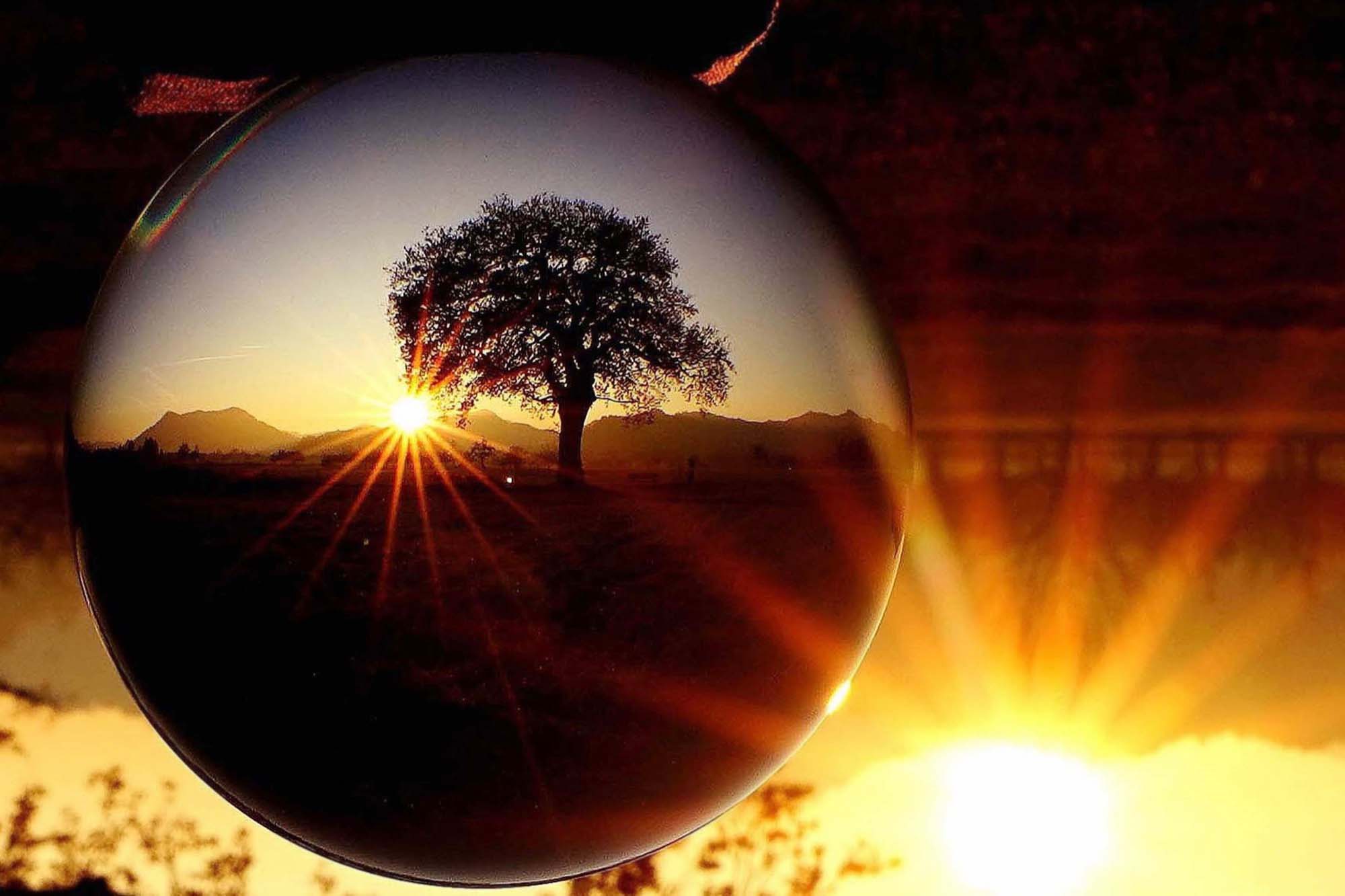 2019-12-11-BI-Helmut Krannich-Kristallkugel-Biberacher Eiche-Bild (503)