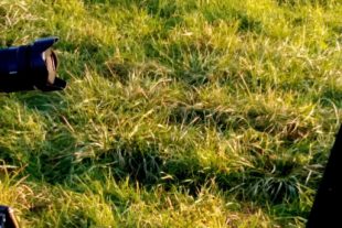 2019-12-11-BI-Helmut Krannich-Kristallkugel-Biberacher Eiche-IMG_20191205_154035