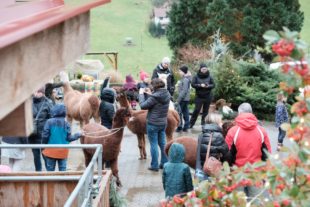 2019-12-16-BI-PB-vo-Weihnachtszauber Bechererhof DSCF1573