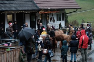 2019-12-16-BI-PB-vo-Weihnachtszauber Bechererhof DSCF1575