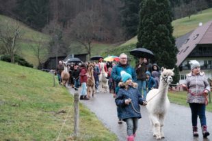 Volles Haus beim Weihnachtszauber