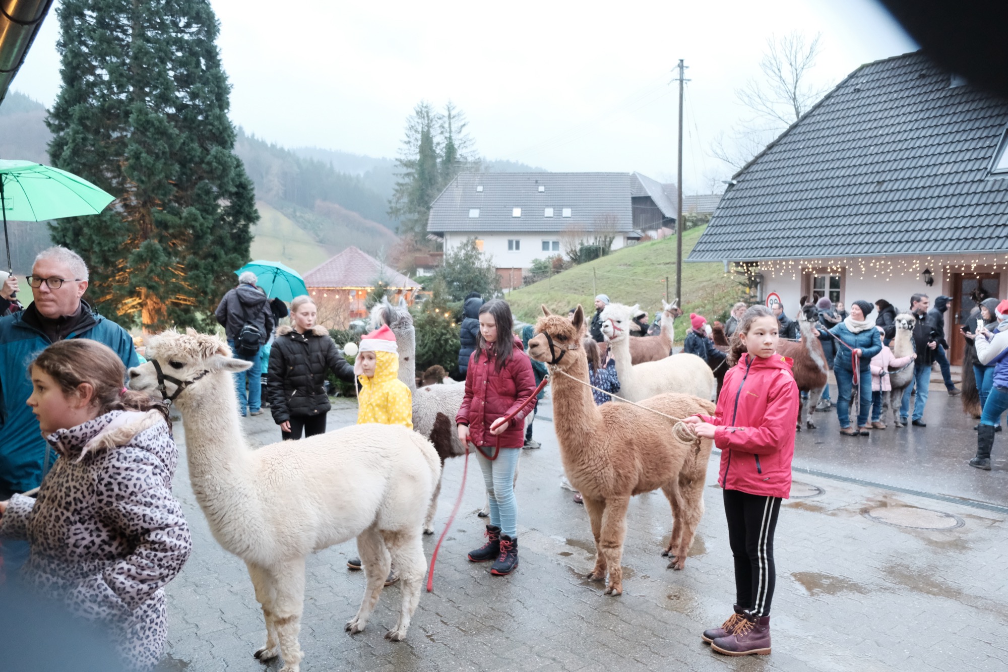 2019-12-16-BI-PB-vo-Weihnachtszauber Bechererhof DSCF1599