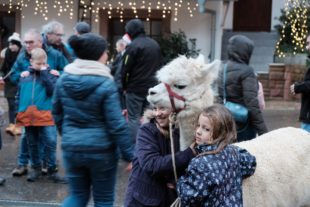 2019-12-16-BI-PB-vo-Weihnachtszauber Bechererhof DSCF1601