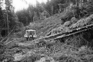 2019-12-16-OH-kal-Silvesterausgabe-Orkantief Lothar -Nur Vorbote kommender Katastrophen-103 Jedensbach Berg Holz 001