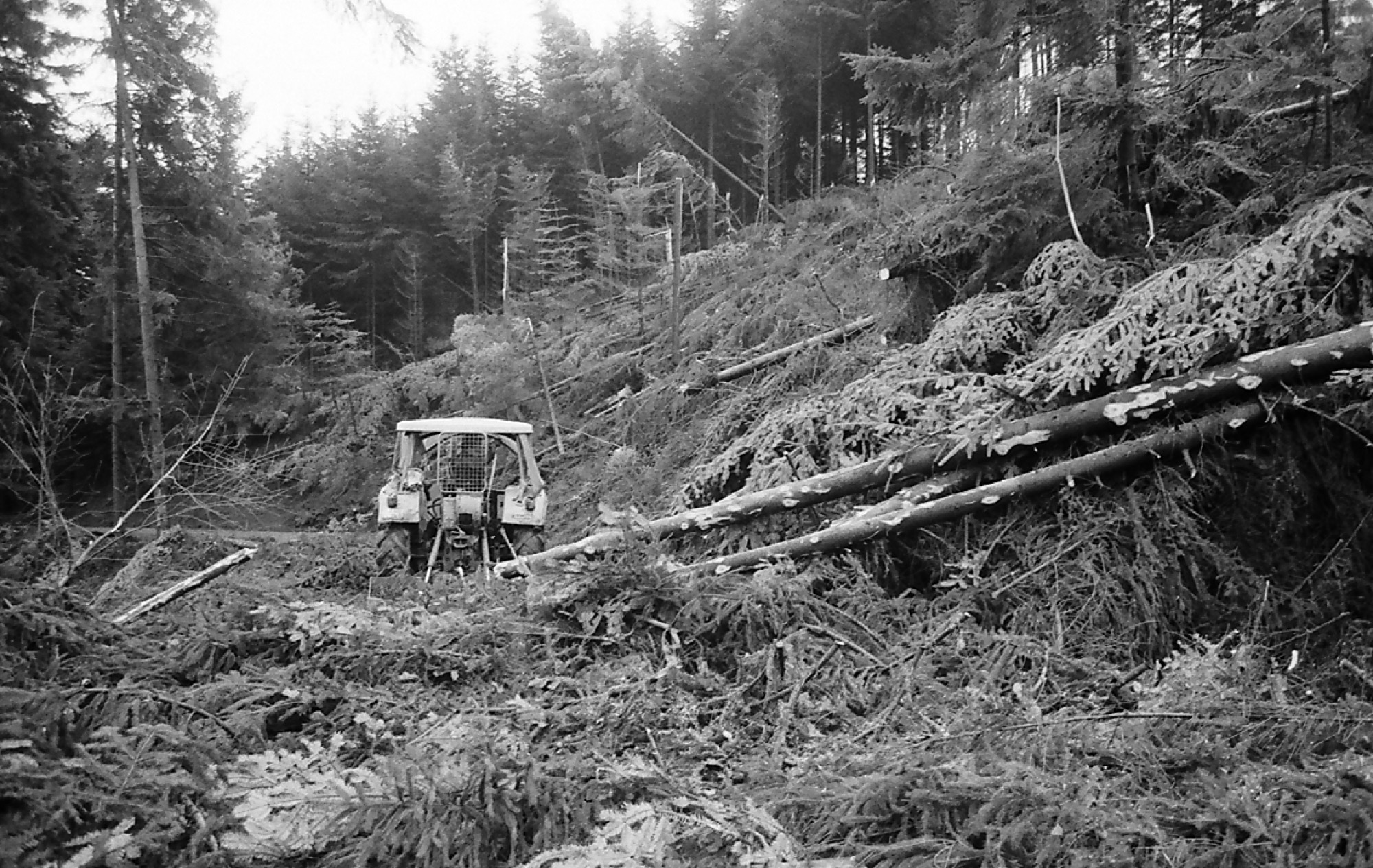 2019-12-16-OH-kal-Silvesterausgabe-Orkantief Lothar -Nur Vorbote kommender Katastrophen-103 Jedensbach Berg Holz 001