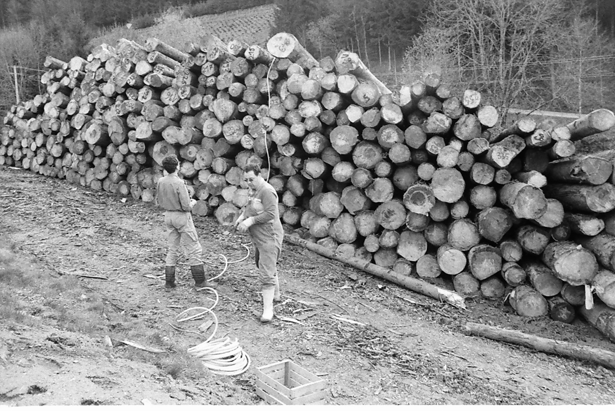 2019-12-16-OH-kal-Silvesterausgabe-Orkantief Lothar -Nur Vorbote kommender Katastrophen-106 Nasslager 002