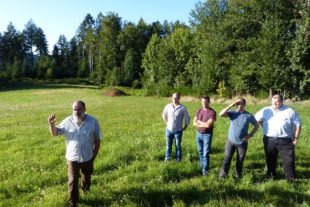 2019-12-18-OH-NO-UE-bia-Wildschweine-reparierte Wildschweinwiese 4