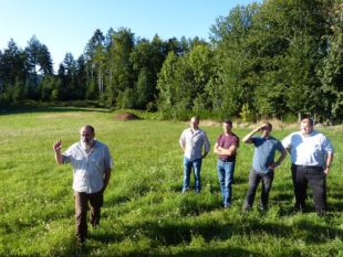 Das Problem mit der wilden Wutz