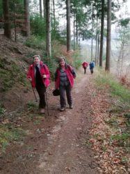 Wander- und Freizeitverein beschließt Wanderjahr