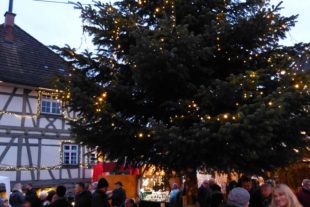 2019-12-2-BI-bia-Weihnachtsmarkt-u-unterm Weihnachtsbaum