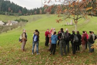 3a95a6c39d4cfbca9c4d55fb06d6b7d604318461b068387de439350480e7750e