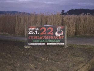 D‘ Hoorig Katz wundert sich …