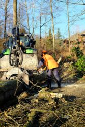 Kataster registriert 1.300 Bäume