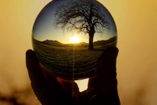 Die Welt in meinen Händen