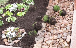 Sachbeschädigungen auf dem Zeller Friedhof