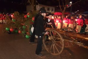 2020-1-20-ZE-UH-hpw-Eckwaldhexen-Baumstellen-20200117_193257