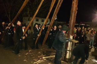 2020-1-20-ZE-UH-hpw-Eckwaldhexen-Baumstellen-20200117_195732