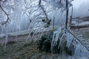 2020-1-24-NO-Herbert Bruder-Eiskunstwerk-20200123_090112