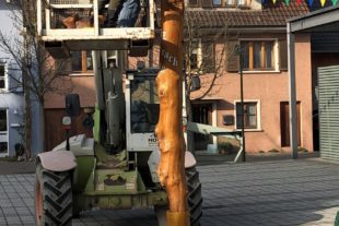 2020-1-27-BI-Melissa Schilli-Narrenzunft-Fähnle-ddd39987-381e-464a-9cfd-ae307fb43653