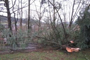 2020-2-10-ZE-ga-Sturmschäden-IMG_5881