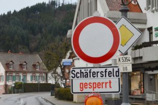 2020-2-10-ZE-hps-Sturmschäden-DSC_2476 2