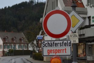 2020-2-10-ZE-hps-Sturmschäden-DSC_2476 2