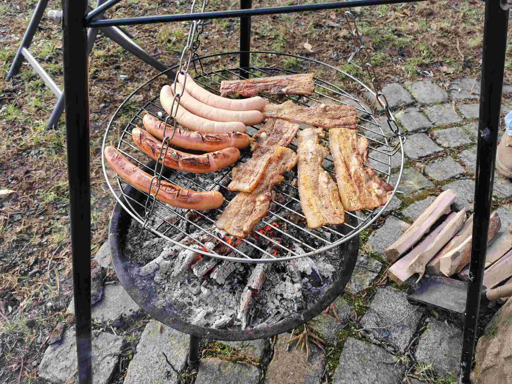 2020-2-12-ZE-UH-WuF-Waldspeckgrillen-IMG_20200208_165022