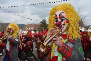 2020-2-19-BI-hps-Fasent Biberach-Archivbild-DSC_4642 2