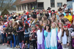 2020-2-19-BI-hps-Fasent Biberach-Archivbild-DSC_4816 2