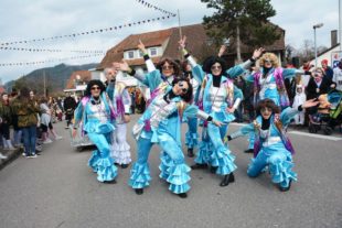 2020-2-19-BI-hps-Umzug Biberach Archivbild-DSC_4658