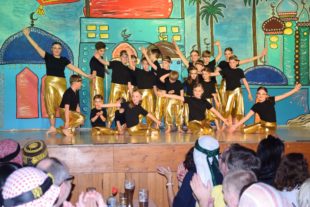 2020-2-21-BI-ds-Biberball-DSC_0310