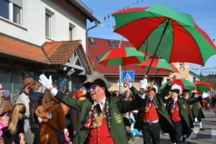 Biberacher Narren im Glück