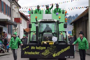 2020-2-26-BI-ds-Fasnachtsdienstag 2020-DSC_0413