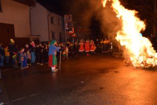 2020-2-26-BI-ds-Fasnachtsdienstag 2020-DSC_0432