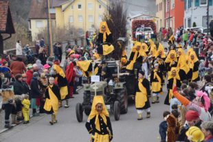 2020-2-26-NO-hv-Fasentumzug-DSC_0480