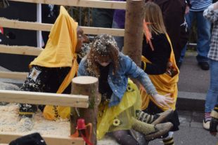 2020-2-26-NO-hv-Fasentumzug-DSC_0483